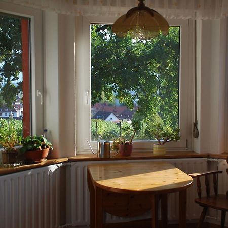 Апартаменты Rotes Haus Ueber Den Weinbergen Констанц Экстерьер фото